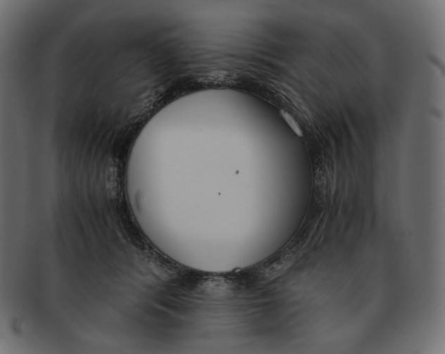 X0000091520416200709071021