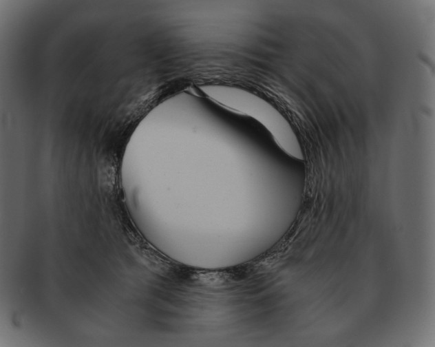 X0000091520417200709071021