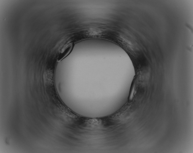 X0000091520421200709071021