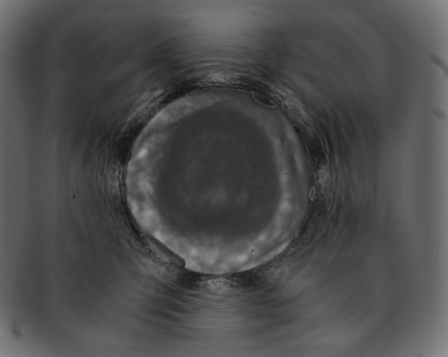 X0000091520423200709071021