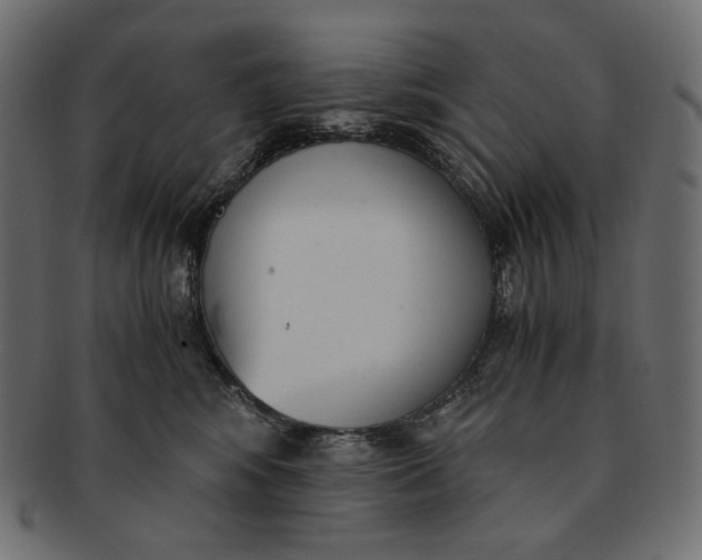 X0000091520424200709071021