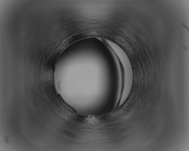 X0000091520425200709071021