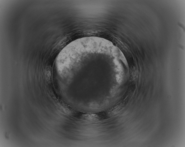 X0000091520427200709071021