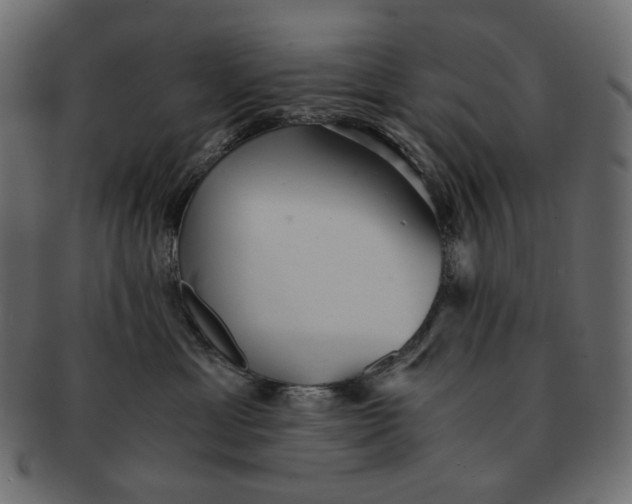 X0000091520429200709071021