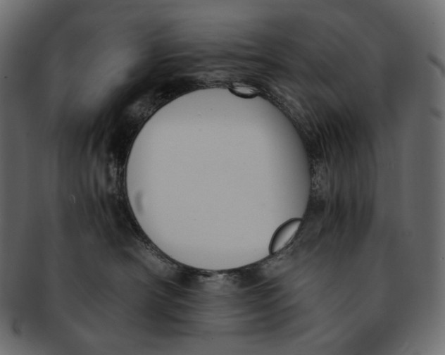 X0000091520430200709071021