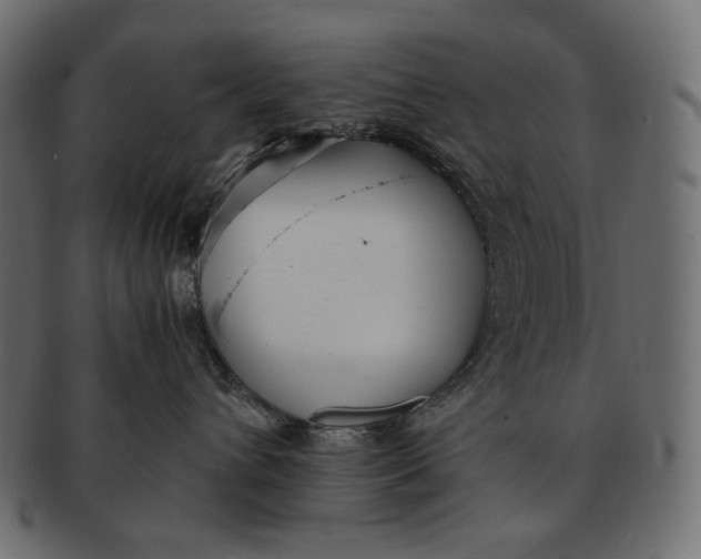 X0000091520432200709071021