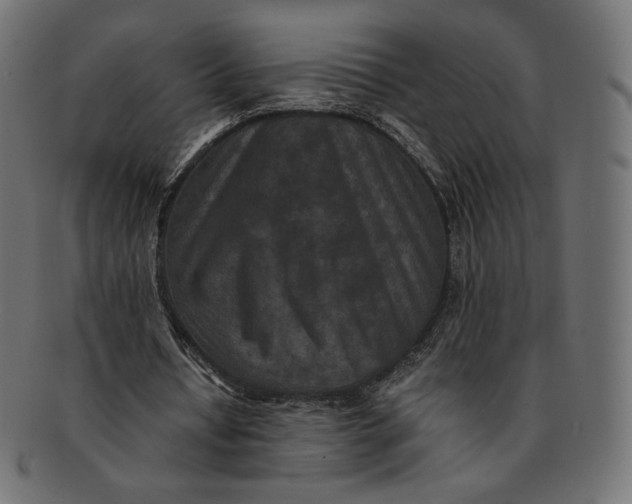 X0000091520434200709071020