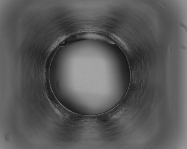 X0000091520436200709071020