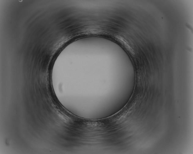 X0000091520439200709071020