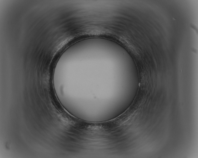 X0000091520440200709071020