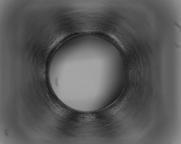 X0000091520443200709071020