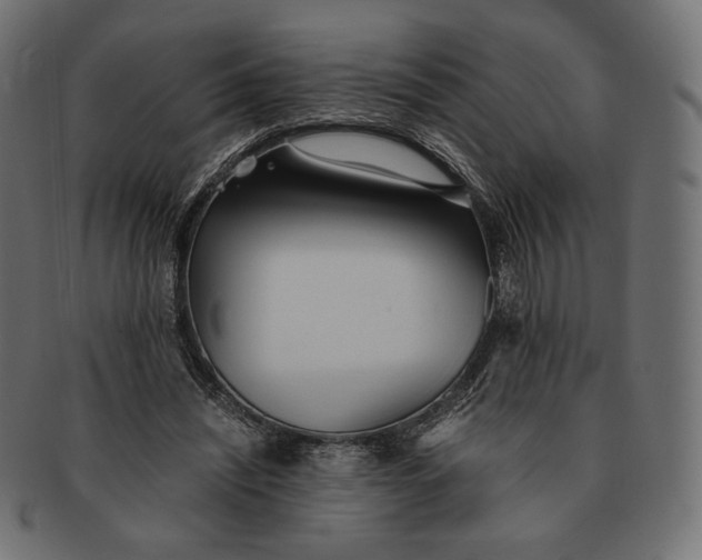 X0000091520444200709071020