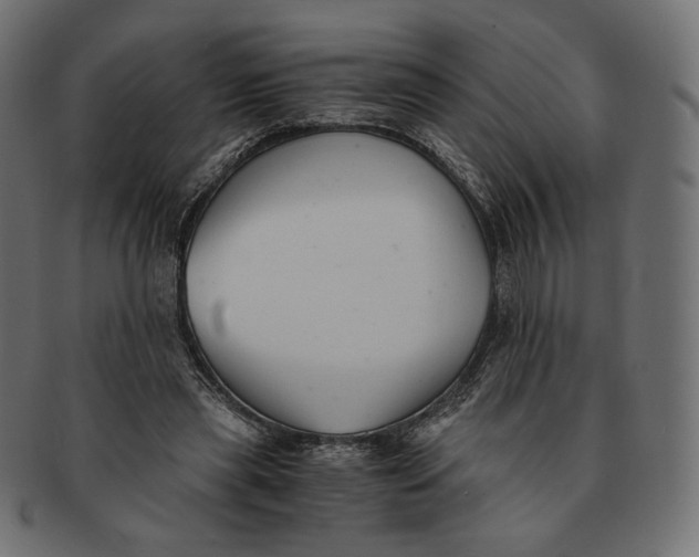 X0000091520445200709071020