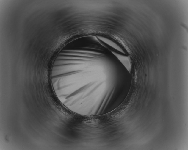 X0000091520447200709071020