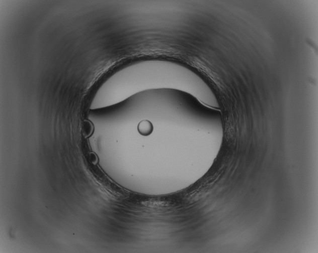 X0000091520448200709071020