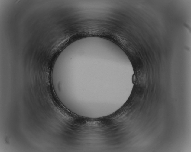 X0000091520450200709071020