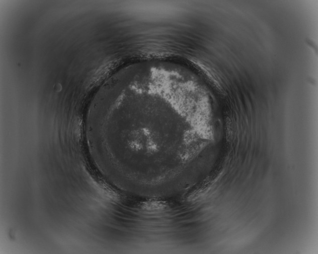 X0000091520451200709071020