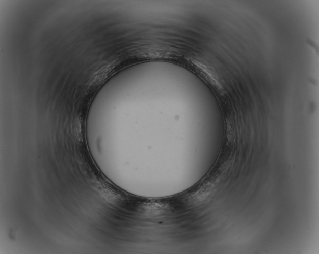 X0000091520453200709071020