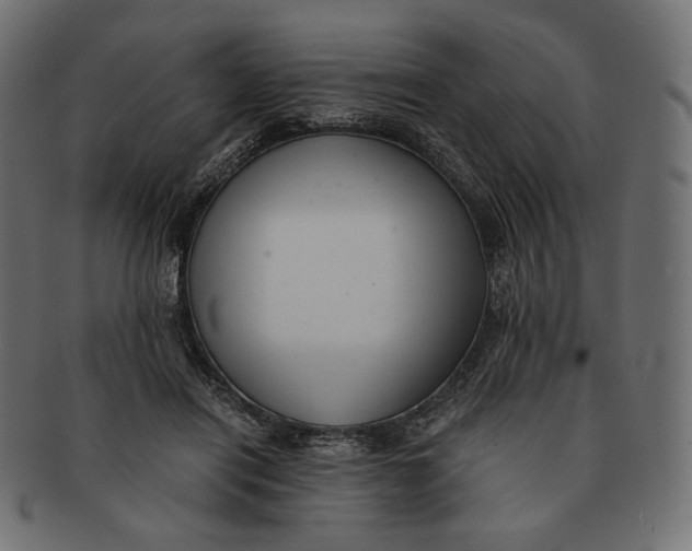 X0000091520454200709071020