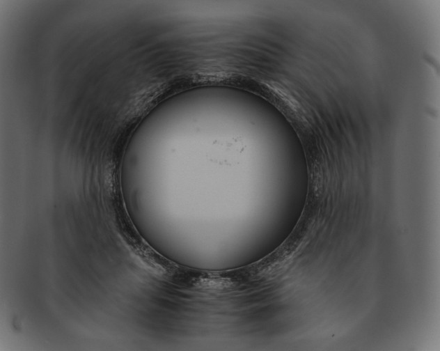 X0000091520455200709071020