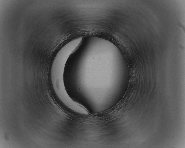 X0000091520456200709071020