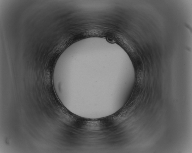 X0000091520457200709071020