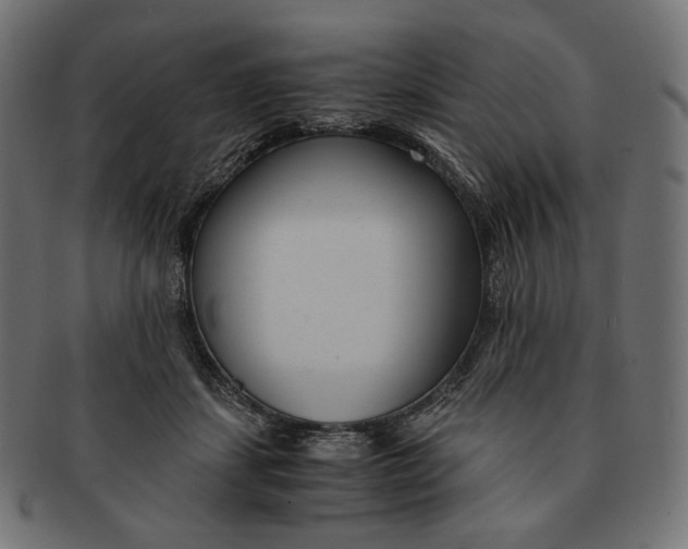 X0000091520459200709071020