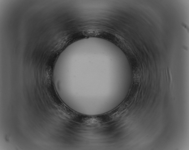 X0000091520460200709071020