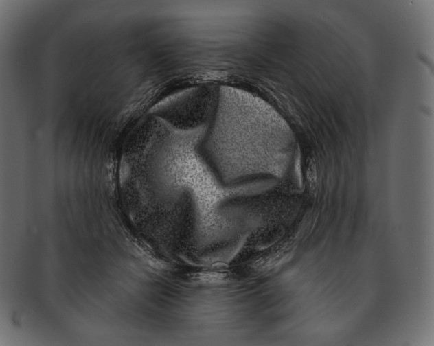 X0000091520462200709071021