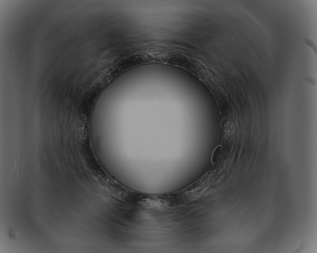 X0000091520464200709071021