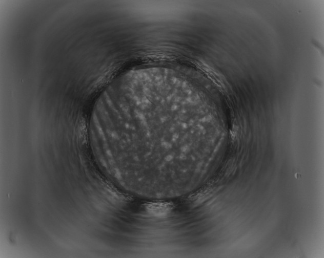 X0000091520465200709071021