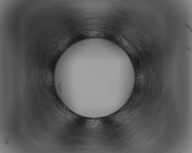 X0000091520469200709071021