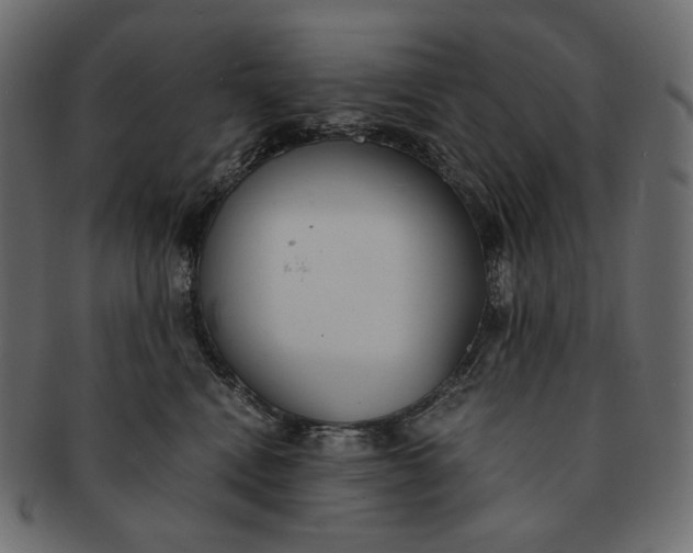 X0000091520472200709071021