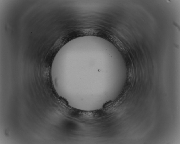 X0000091520473200709071021