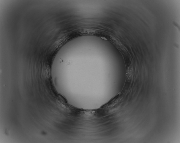 X0000091520474200709071021