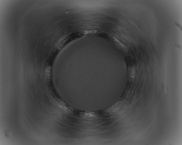 X0000091520475200709071021