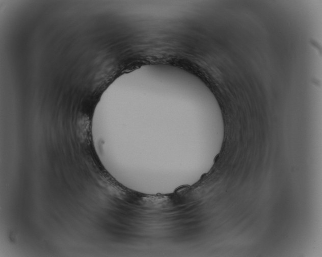 X0000091520480200709071021