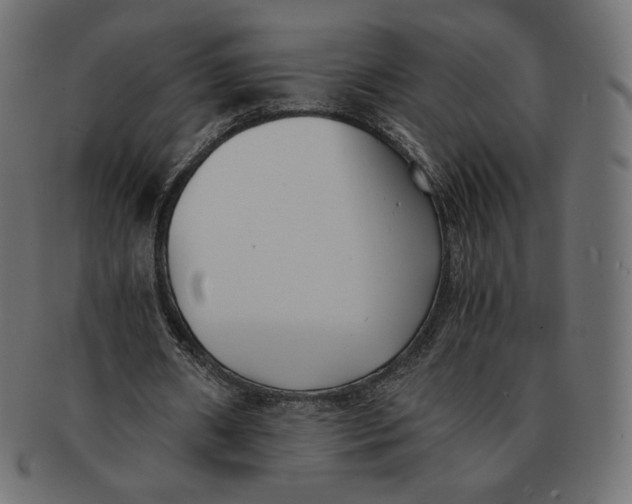 X0000091520482200709071020