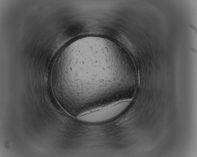 X0000091520483200709071020