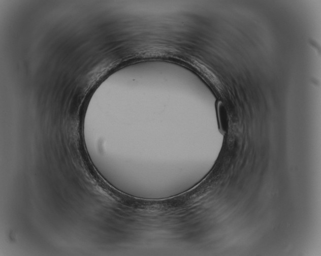 X0000091520485200709071020