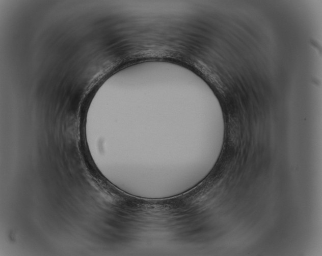 X0000091520486200709071020