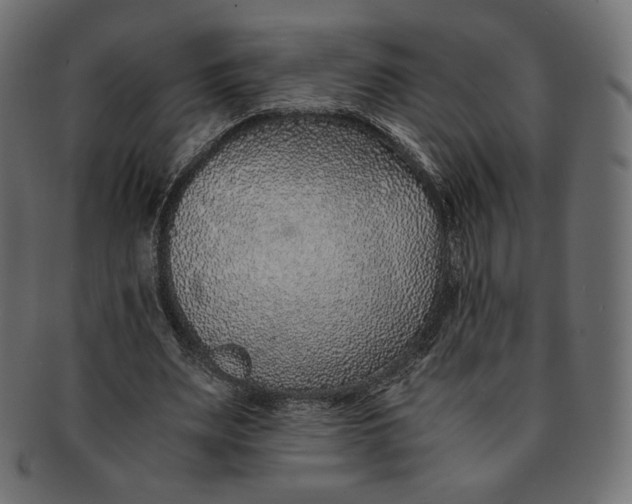 X0000091520487200709071020