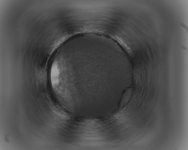 X0000091520488200709071020