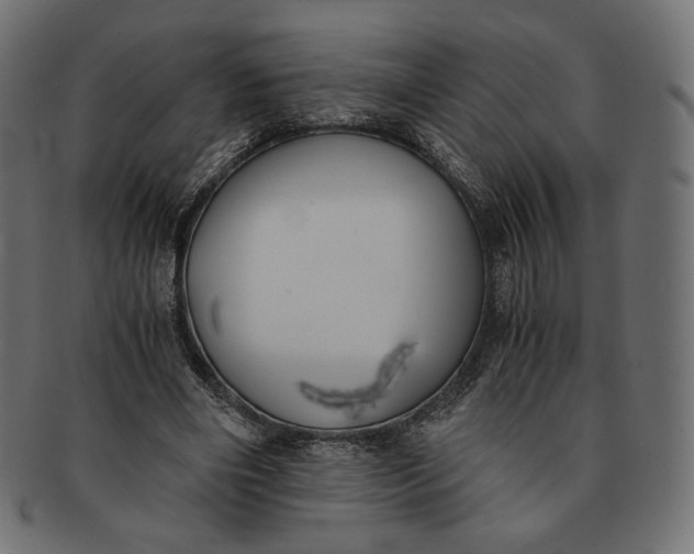 X0000091520490200709071020