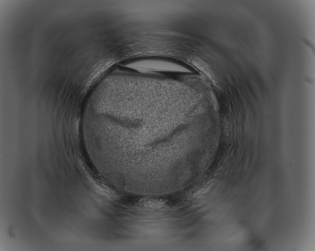 X0000091520491200709071020