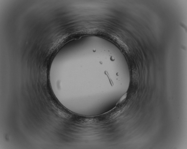 X0000091520493200709071020