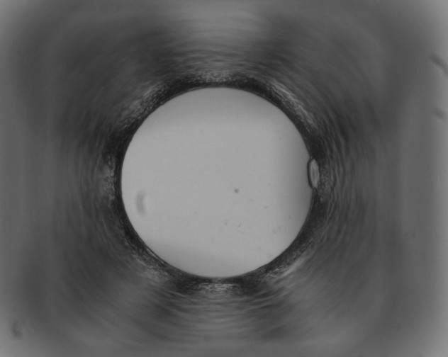 X0000091520497200709071020