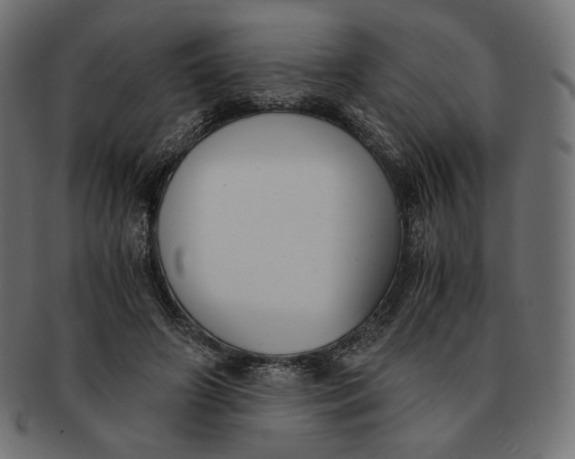 X0000091520498200709071020