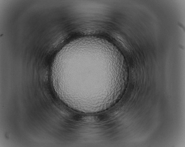 X0000091520499200709071020