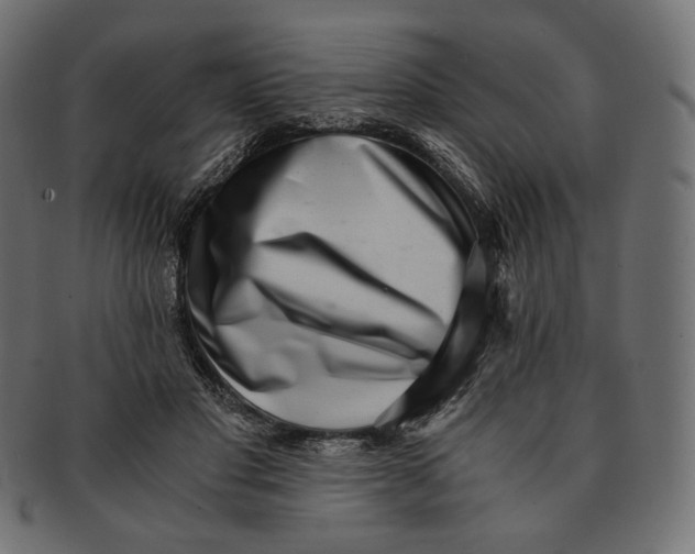 X0000091520501200709071020